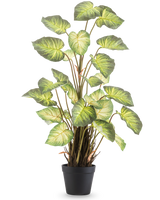 Den kunstige plante Alocasia Odora 90 cm har store, grønne, hjerteformede blade og flere stængler i en simpel sort potte, mod en almindelig hvid baggrund.