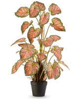 Den kunstige plante Caladium 90 cm pink er en potteplante med store, hjerteformede blade med grønne kanter og lyserøde hjerter, præsenteret opretstående i en sort potte mod en hvid baggrund.