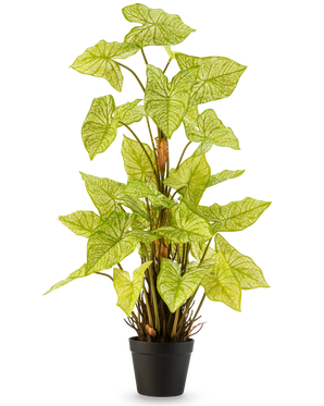 Den kunstige plante Trapa Bispinosa 90 cm hvid er en kunstig plante i en potte med levende lysegrønne blade og slående blege årer, arrangeret i en kompakt sort potte og afbildet på en almindelig hvid baggrund.