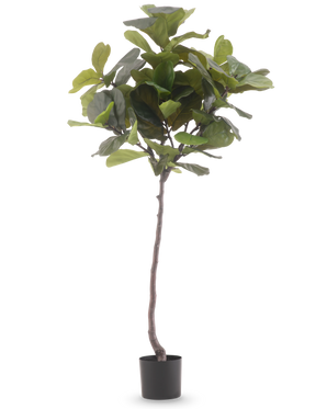 Artificial Plant Ficus Tobacco Plant Deluxe 180 cm er en høj kunstig plante med store, blanke grønne blade og en slank brun stamme, mod en almindelig hvid baggrund.