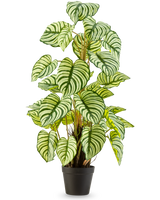 Kunstplanten Anthurium 90 cm grøn er en kunstig plante i potte med store, ovale grøn-hvidstribede blade, stående oprejst i en sort potte mod en almindelig hvid baggrund.