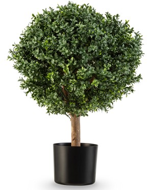 Artificial Boxwood on Stem Roman Style UV 65cm har en rund, frodig grøn form med tæt løv i en enkel sort potte, perfekt til at tilføje elegance mod en hvid baggrund.
