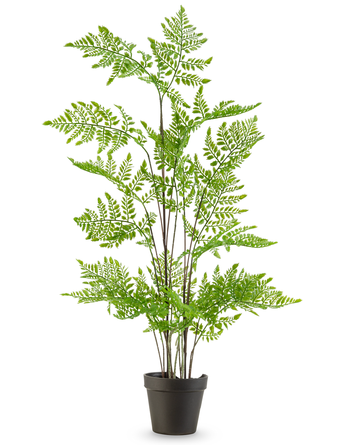 Den kunstige bregneplante 85 cm har sarte, fjergrønne blade og flere lange, slanke stængler, præsenteret i en potte mod en almindelig hvid baggrund.