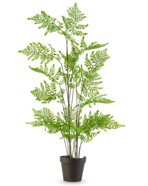 Den kunstige bregneplante 85 cm har sarte, fjergrønne blade og flere lange, slanke stængler, præsenteret i en potte mod en almindelig hvid baggrund.