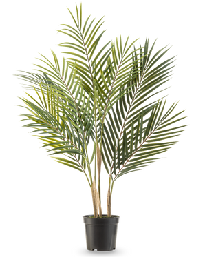 Den kunstige palme Chamaedorea 71 cm har lange, slanke grønne blade og flere stammer, hvilket får den til at ligne en høj palme i en potte mod en hvid baggrund.