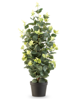Kunstplanten Eucalyptus 61 cm er en kunstig plante i potte med grønne blade i en simpel sort potte, som står oprejst mod en hvid baggrund.