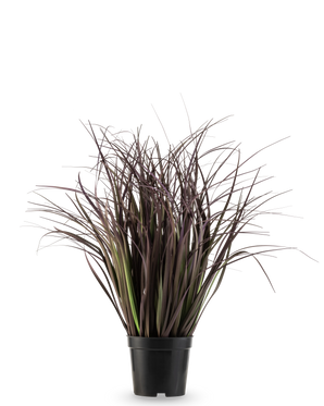 Artificial Gras Plant Wild Lawn 50 cm brandhæmmende middel har høje, smalle, mørkelilla blade i en sort potte mod en hvid baggrund - en stilfuld kunstig plante ideel til moderne interiør.