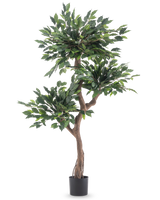 Den kunstige plante Ficus Crazy 150 cm er et højt kunstigt træ med tre bundter af tætte grønne blade og en snoet brun stamme, i en simpel sort potte mod en hvid baggrund.