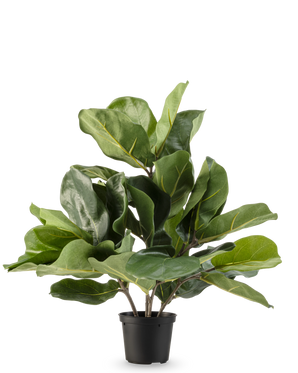 Artificial Tobacco Plant Fiddle Leaf UV 45 cm har store, blanke grønne blade og tykke stængler i en sort plastikpotte, mod en almindelig hvid baggrund.