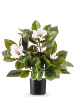 Artificial Magnolia planten i 46 cm potte er en letplejet plante med store, skinnende grønne blade og tre lyserøde blomster med gult hjerte, i en enkel sort potte mod hvid baggrund.