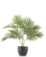 Artificial Palm Phoenix 50 cm har lange grønne buede blade i en rund sort dekorativ potte, mod en almindelig hvid baggrund.
