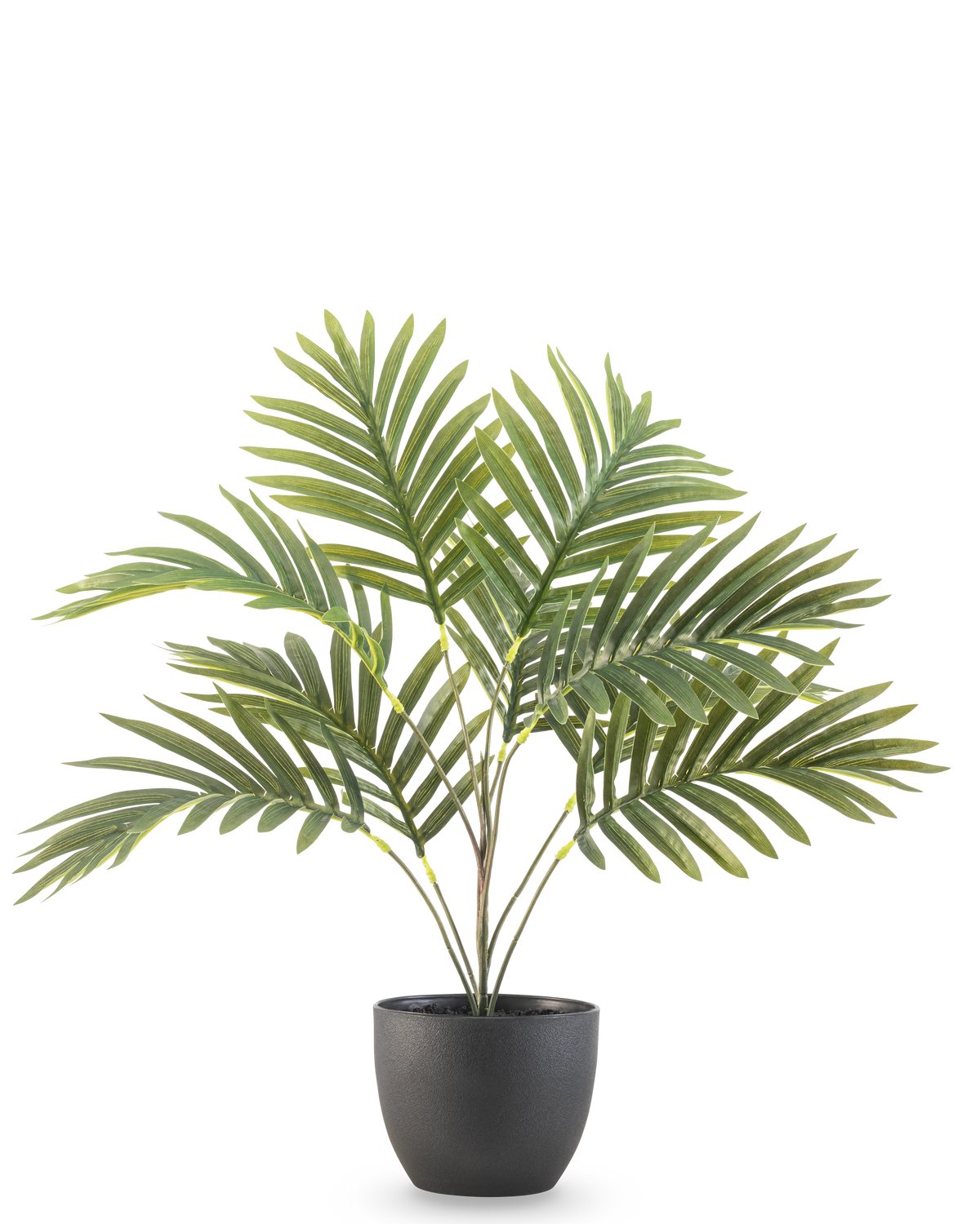 Artificial Palm Phoenix 50 cm har lange grønne buede blade i en rund sort dekorativ potte, mod en almindelig hvid baggrund.