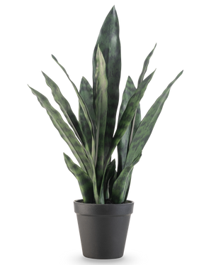 Den kunstige plante Sansevieria Zeylanica 44 cm har lange, opretstående grønne blade med farverige mønstre, præsenteret i en simpel sort potte mod en almindelig hvid baggrund.