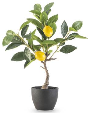 Det kunstige citrontræ 40 cm i sort dekorativ potte har grønne blade og to modne gule citroner i en potte med sort struktur, perfekt til udstilling på en hvid baggrund.