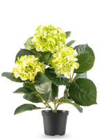 Artificial Hortensia Green UV 35 cm har tre bundter af lyse gulgrønne blomster og store dybgrønne blade, alle i en potte mod en hvid baggrund.