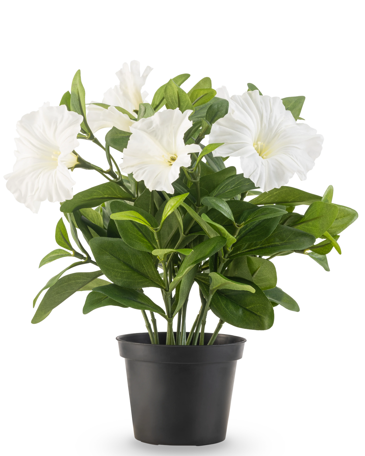 En kunstig blomst Petunia-plante UV 25 cm høj i en sort plastikpotte har frodige grønne blade og flere store, hvide, trompetformede blomster, mod en almindelig hvid baggrund.