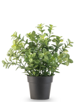 Den kunstige planteeukalyptus 27 cm har tætte grønne blade i en enkel mørkegrå potte, mod en almindelig hvid baggrund.
