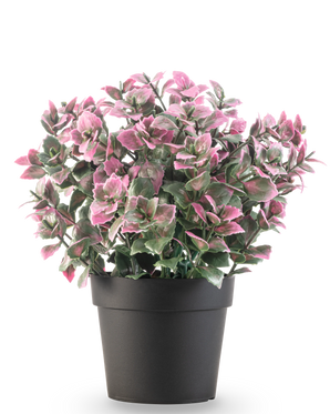 Den kunstige plante Eucalyptus lilla i potte UV 22 cm har lilla eukalyptusblade i en mørk potte, mod en almindelig hvid baggrund.