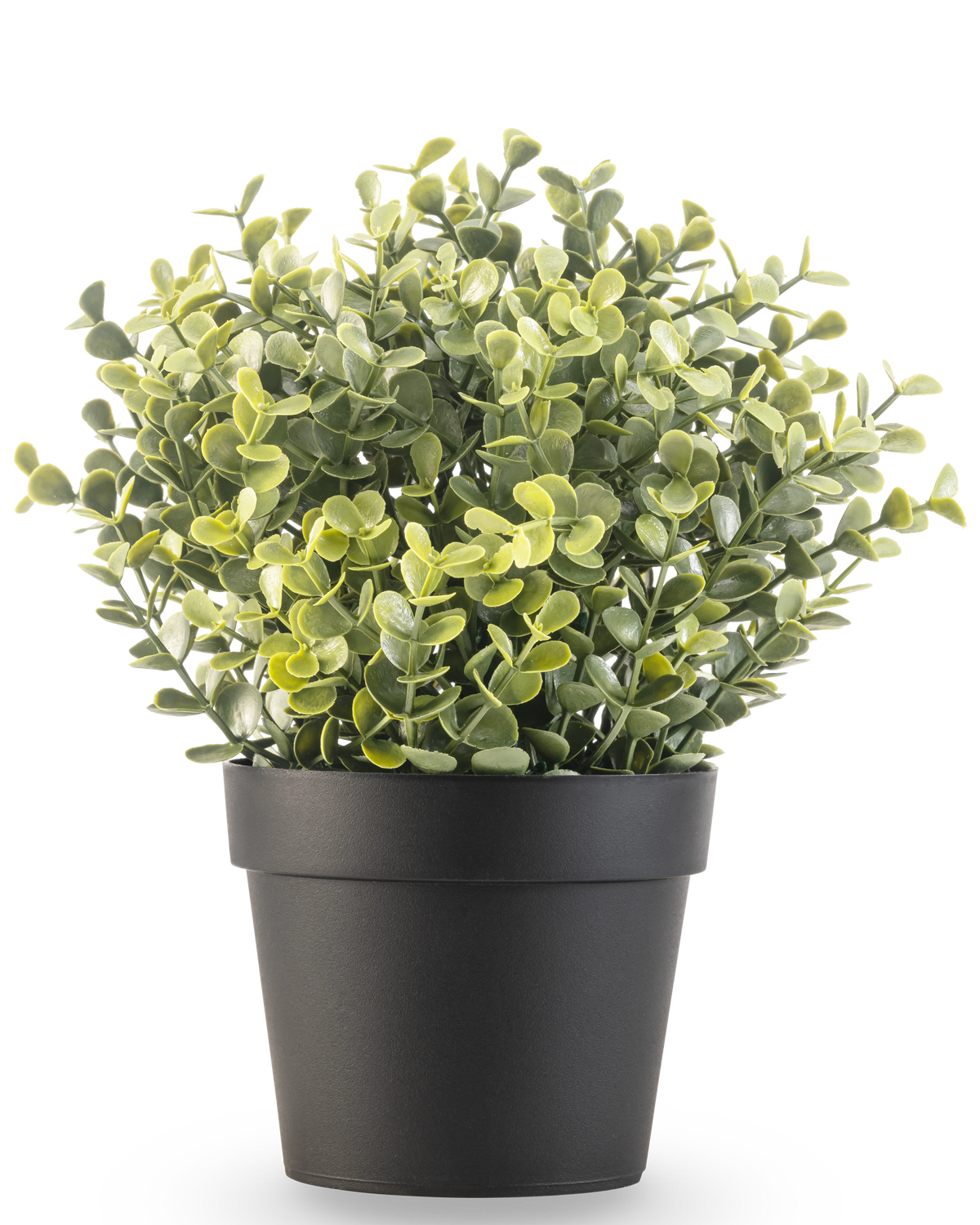 Kunstplanten Buksbom grøn i potte UV 19 cm er en lille, grønbladet kunstig plante med runde blade i en enkel sort potte, mod hvid baggrund.