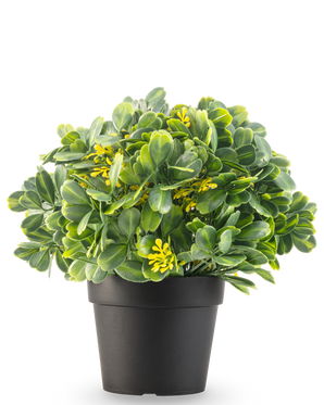 Kunstplanten Grøn/gul UV 21 cm har grønne blade og små gule blomster i en almindelig sort potte, mod en hvid baggrund.