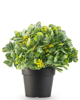Kunstplanten Grøn/gul UV 21 cm har grønne blade og små gule blomster i en almindelig sort potte, mod en hvid baggrund.