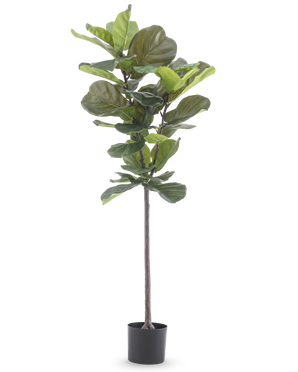 Artificial Plant Ficus Tobacco Plant Deluxe 155 cm har brede grønne blade og kommer i en sort potte, afbildet mod en almindelig hvid baggrund.