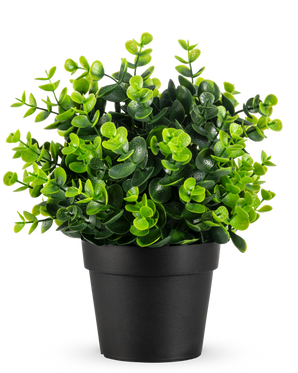 Den Kunstige Plante Grøn i potte UV 22 cm er en lille, levende grøn kunstig plante med tætte, runde blade i en enkel sort potte, afbildet mod en almindelig hvid baggrund.