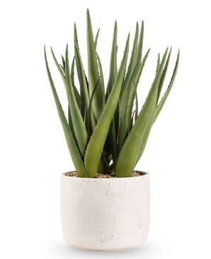 Den kunstige plante Aloe Vera 43 cm har lange, spidse grønne blade i en lille, rund potte med hvid struktur og småsten, mod en almindelig hvid baggrund.