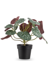 Den kunstige plante Saxifraga 27 cm har grønne blade med hvide årer og rødlilla undersider, præsenteret i en simpel sort potte mod en almindelig hvid baggrund.
