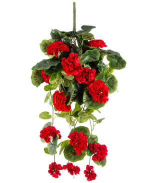 Den kunstige hængeplante Geranium 75 cm rød har levende røde kunstige geraniumblomster med frodige grønne blade, der falder elegant ned.