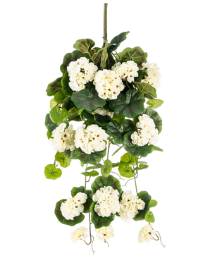 Den kunstige hængeplante Geranium 75 cm hvid er en kunstig hængeplante med bundter af hvide blomster og grønne blade, lodret mod en almindelig hvid baggrund.