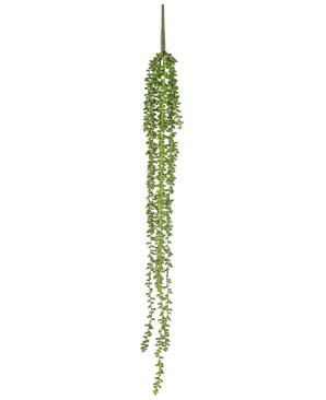 Den kunstige hængeplante Senecio 91 cm har lange, snoede tråde med små runde grønne blade, som hænger lodret mod en almindelig hvid baggrund.