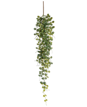 Den kunstige hængeplante Pumila 96 cm har små runde grønne blade, der hænger fra den ene brune stilk, hvilket skaber en naturtro slæbende effekt. Afbildet mod en hvid baggrund tilføjer denne kunstige plante grønt uden vedligeholdelse.