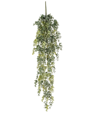 The Artificial Hanging Plant Eucalyptus 60 cm har realistiske, små runde grønne blade, der falder ned og skaber en naturtro kunstig eukalyptus mod en almindelig hvid baggrund.
