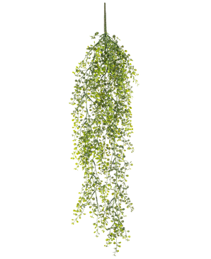 Den kunstige hængeplante Buxus 80 cm er en kunstig hængeplante med lange, snoede grønne ranker og små runde blade mod en hvid baggrund.