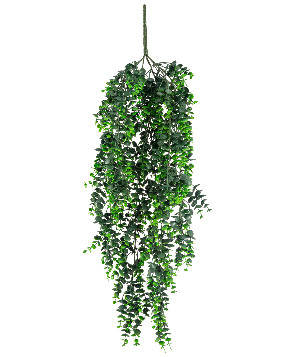 Den kunstige hængeplante Eucalyptus UV 80 cm har tætte, cascading grønne blade og en synlig stilk i toppen, mod en almindelig hvid baggrund.