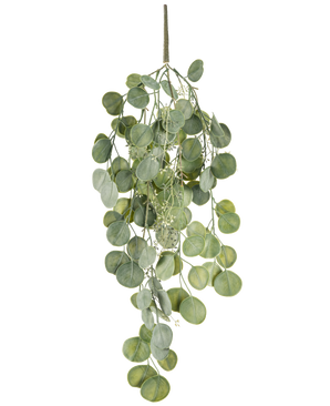 Den kunstige hængeplante Eucalyptus 73 cm har runde grønne blade på flere stængler, der hænger yndefuldt mod en hvid baggrund.