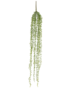 Den kunstige hængeplante Senecio 91 cm har lange, hængende stængler med små grønne blade, hvilket skaber en elegant kunstig hængeplante mod en almindelig hvid baggrund.