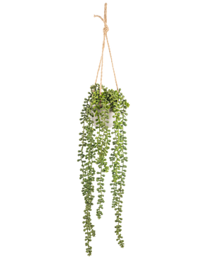 Den kunstige Senecio hængeplante i potte 55 cm har lange grønne hængende stængler med runde blade, hængende i en hvid potte på et solbrun reb, perfekt til at tilføje grønt til ethvert rum.