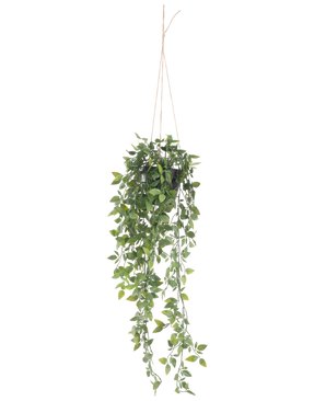 Den kunstige hængeplante Scindapsus i potte 73 cm har frodige grønne blade og lange snoede ranker, ophængt i tyndt reb mod en almindelig hvid baggrund.