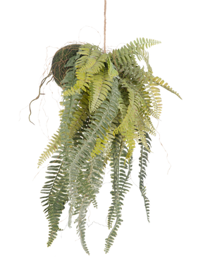 Den kunstige hængeplante Frosted Fern på kugle 97 cm har yndefulde, lange grønne blade, der hænger fra en mosklædt kugle på et tyndt reb. En stilfuld, vedligeholdelsesfri stueplante, der passer perfekt ind i ethvert interiør.
