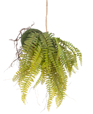 Den kunstige hængeplante Fern on ball 26 cm har naturtro grønne blade i en mosbeklædt kugle, ophængt i en snor - et ideelt dekorativt stykke til ethvert interiør på en hvid baggrund.