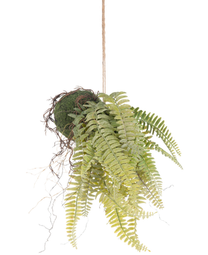 Den kunstige hængeplante Frosted Fern on ball 76 cm har naturtro grønne bregneblade og blotlagte rødder i kokedama-stil, hængende i en brun snor - perfekt til at tilføje varigt grønt til ethvert rum.