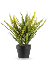 Den kunstige plante Boston Fern 53 cm har lange, slanke grønne blade i en sort potte, mod en almindelig hvid baggrund.