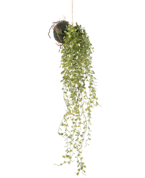 Den kunstige hængeplante sukkulentbold 58 cm har en grøn sukkulent plante med små runde blade, hængende fra en mosklædt jordkugle, mod en almindelig hvid baggrund.