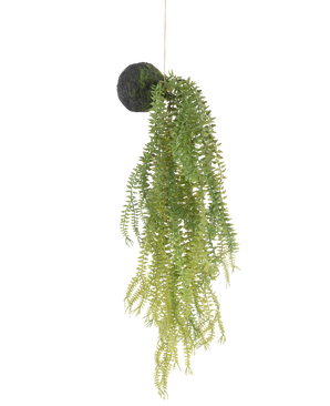 Den kunstige hængeplante Phlegmariurus kugle 50 cm har grønne bregneblade på en mosbeklædt rund bund, ophængt i en snor mod hvid baggrund.