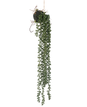 Den kunstige hængeplante Senecio ball 58 cm har lange, snoede grønne ranker med små runde blade, der hænger fra en moskugle, mod en hvid baggrund.