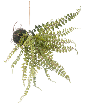 Artificial Hanging Plant Fern Ball 45 cm har efterslæbende grønne bregne-lignende blade og hænger på en snor, perfekt til udstilling mod en hvid baggrund.