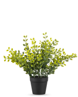 The Artificial Tea Leaves Plant 25 cm er en lille grøn bladplante med gule blade i en simpel sort potte, på en almindelig hvid baggrund.