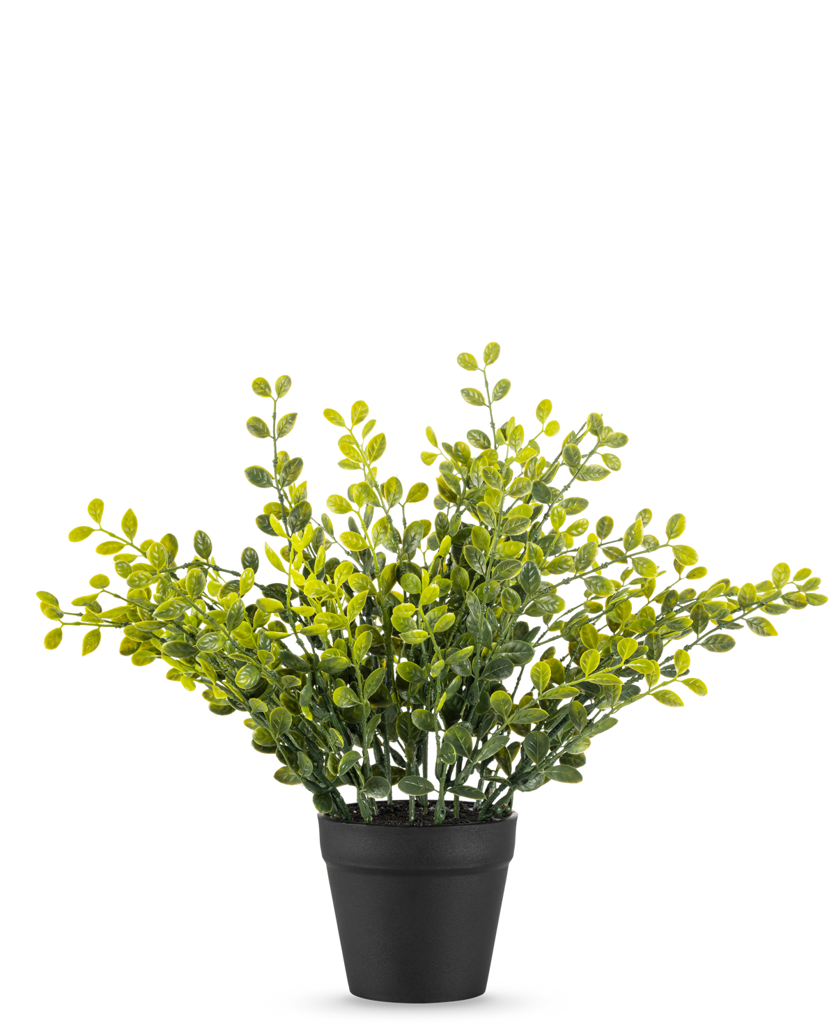 The Artificial Tea Leaves Plant 25 cm er en lille grøn bladplante med gule blade i en simpel sort potte, på en almindelig hvid baggrund.